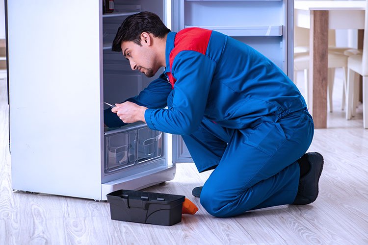fridge repair mechanic