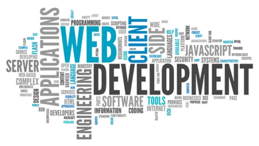 wordpress business website design agency in noida