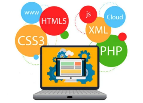 wordpress agency near me hisar