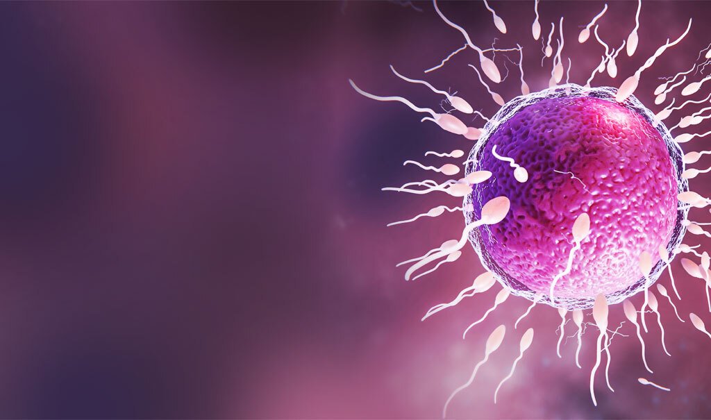 top ivf clinics in delhi ncr